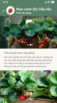 Bác sỹ cây trồng android App screenshot 11