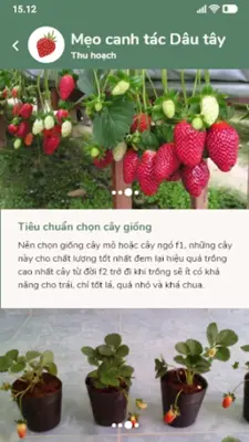 Bác sỹ cây trồng android App screenshot 6